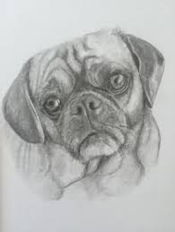 Thank you desen in creion — flori in creion, pas. Cute Pictures Of Puppies To Draw Google Search Desene Pisici Desene In Creion Cute766