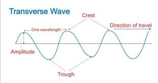 Transverse Waves Examples Of Transverse Waves Physics Tutorcircle Com Physics Wave Theory Longitudinal Wave