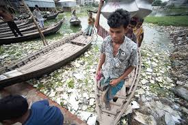 » polluted with toxic pesticides » caused by the opening of farms and treatment plant. Quality And Wastewater Un Water