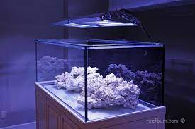 Brands include ati, giesemann, hamilton technology. Giesemann Spectra Metal Halide T5 Light Fixture Custom Aquarium Aquarium Aquarium Lighting