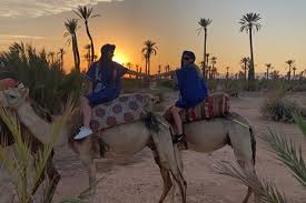 Located in palmeraie, this hotel is 2.4 mi (3.8 km) from museum palmeraie. Marrakesh The Palm Grove Small Group Sunset Camel Ride 2021 Marrakech