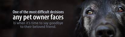 Euthanasia is a valuable opportunity to give your cherished pet relief from terrible pain and suffering. Paws To Rest Compassionate Pet Euthanasia In Calgary Edmonton Ab In Home Pet Euthanasia Aftercare Paws To Rest Calgary Edmonton Ab