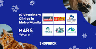 A video shows someone taking the puppy, a shih tzu, from the. 10 Veterinary Clinics That Are Open To Accommodate Your Pets Shopback Philippines
