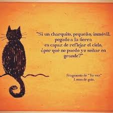 Biografia De San Francisco De Asis Corta Pin En Frases Girasoles