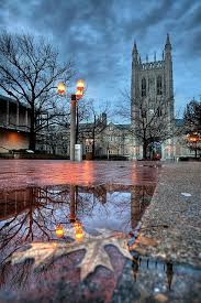 Memorial Union Favorite Places Beautiful Places Places