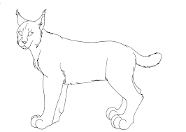 Download Canada Lynx Coloring Page Coloring Home