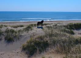 Corolla, nc is one of several outer banks vacation towns on the coast of north carolina. Outer Bank 4x4 Beach House Rentals Brindley Beach Vacations Sales