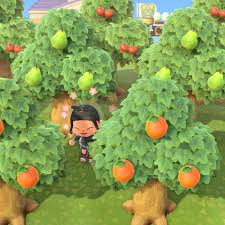 We did not find results for: Animal Crossing New Horizons Switch Tree Guide Polygon