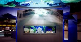 Soft Lighting From Hand Blown Glass Fixtures Three Fireplaces And A Saltwater Aquarium Amp Up The Ro Oklahoma City Bombing Travel And Tourism Oklahoma Tourism
