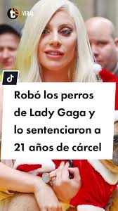 Lady Gaga Avoids $500,000 Payment Over Stolen Dogs