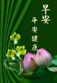 pin by 羽陳on 早安花 good morning flowers good morning girls good morning wishes