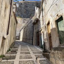 Image result for Sutera debilis