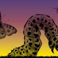 Riesenauswahl an werkzeug und baumaterial. The Insect Apocalypse Our World Will Grind To A Halt Without Them Insects The Guardian