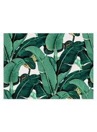 سعر ديكورات حائط على شكل ورق الموز أخضر S فى الامارات نون الامارات كان بكام