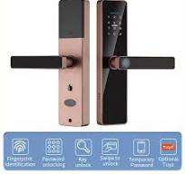 Smart Fingerprint Door Lock - Keyless Entry With Password/Swipe/Remote  Access (Fits Glass Doors)