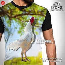 Kaos Ayam Bangkok Kaos3d Ayam Jago Binatang Gambar