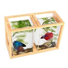 Pin On Aquariums