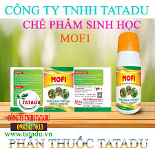 MOF1 – CHẾ PHẨM SINH HỌC CHỐNG XOĂN LÁ, KHẢM LÁ
