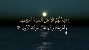 Untuk baca seluruh surat, klik link berikut: Surah Yasin Ayat 31 35 Youtube