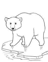 All polar bear coloring pages can be downloaded or printed for free. Coloring Pages Of Polar Bears Coloring Home