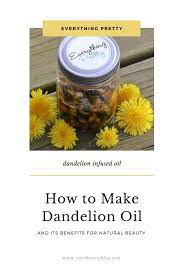 Dandelion Oil Benefits And Uses And How To Make It Dandelion Oil Oil Benefits Natural Beauty Recipes