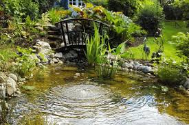 Image result for garden pond ideas