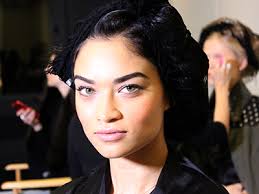 Image result for victoria secret fashion show 2015 december