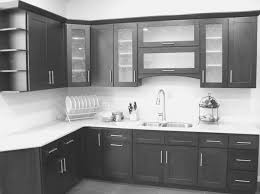beautiful frosted glass kitchen cabinet