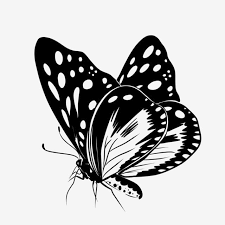 Butterfly Pattern Pattern Butterfly Silhouette Png Transparent Clipart Image And Psd File For Free Download Silhouette Butterfly Butterfly Background Butterfly Drawing