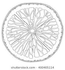 Black And White Orange Slice Orange Slice On White Background Hand Drawn Doodle Vector Zentangle Tribal Design Element Black And Black And White Background How To Draw Hands Zen Art