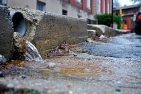 Landscape design is a process similar to the seasonal variations within our gardens. Are Rain Gardens Mini Toxic Cleanup Sites Sightline Institute