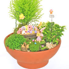 How to make a fairy garden + fairy garden ideas and supplies + our magical indoor fairy garden. Fairy Garden Kits Fairy Garden Boxed Kits Fairy Gardens Uk