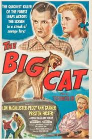 Könnyen methode nézni a sólyom végveszélyben teljes film online ingyen. The Big Cat Videa Film 1949 Indavidea Online