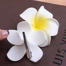 الصيف نمط مشمس مشرق رغوة زهرة Plumeria الشعر كليب 3 أحجام المشابك أغطية الرأس اكسسوارا Girls Hair Accessories Hair Accessories For Women Cheap Hair Accessories