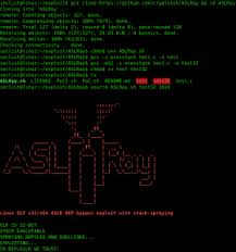 Aslray Is A Linux Elf X32 X64 Aslr Dep Nx Bypass Exploit With Stack Spraying Computer Security Linux Computer Nerd