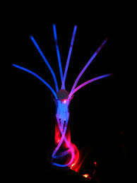 Glow Stick Display Glowsticks Glow Craft Glow Sticks Led Light Stick Led Lights