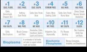 Hylands Bioplasma Homeopathic Cell Salts 1000 Ct