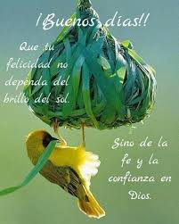 ¿estás buscando mensajes o frases bonitas de buenos días para enamorar a un mujer? Frases De Buenos Dias Cortas Y Bonitas Para Whatsapp