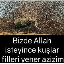 Umudunu Kaybetme Movie Posters Allah