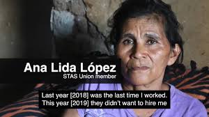 Labour rights abuses at Fyffes' subsidiaries in Honduras