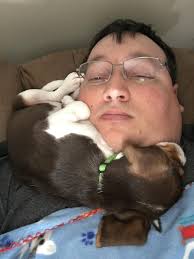 Beagles sleeping habits and cute moments