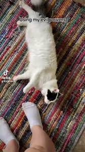 Little Tunny 🐌🤝🧂s Video on X