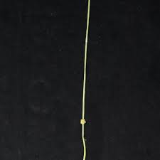 Image result for Schoenoplectiella senegalensis