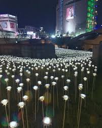 Rose Garden Dongdaemun Design Plaza Seoul Korea Southkorea Seoul Ddp South Korea Travel Korea Travel Seoul Travel
