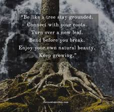 You have decided to make a fresh start; 60 Roots Quotes And Never Forget Your Roots Sayings