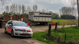 Zoek je op dit moment naar een supermarkt in leuvenheim? Tientallen Dode Dieren Aangetroffen In Leuvenheim Omroep Gelderland