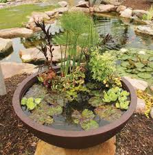 Maybe you would like to learn more about one of these? Small Container Water Gardens That Make Big Impression Lifesoever