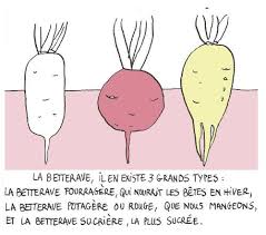 Epingle Sur Eat Draw