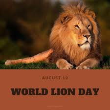 Pls enjoy these very good things. World Lion Day 2021 Eventlas