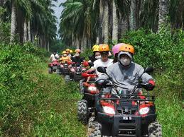 Looking for exceptional deals on kuala selangor vacation packages? D Tour Kuala Selangor Jetty Of Sky Mirror Tour Blue Tears Tour Eagle Feeding Tour Firefly Tour And Atv Experience
